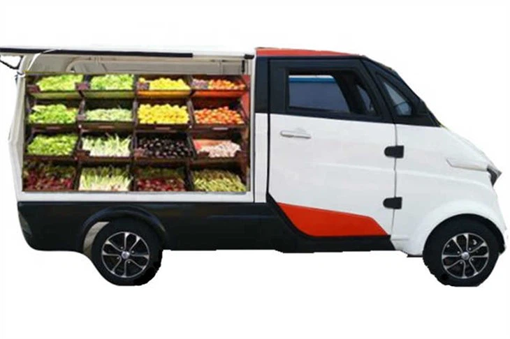 China Mini Ev With Eec Certificates