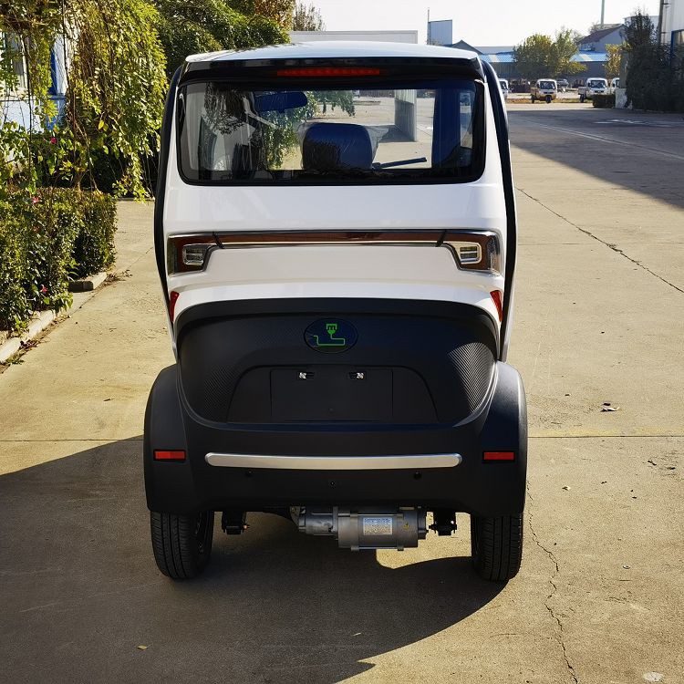 COC Low Speed Mini Electric Passenger Car