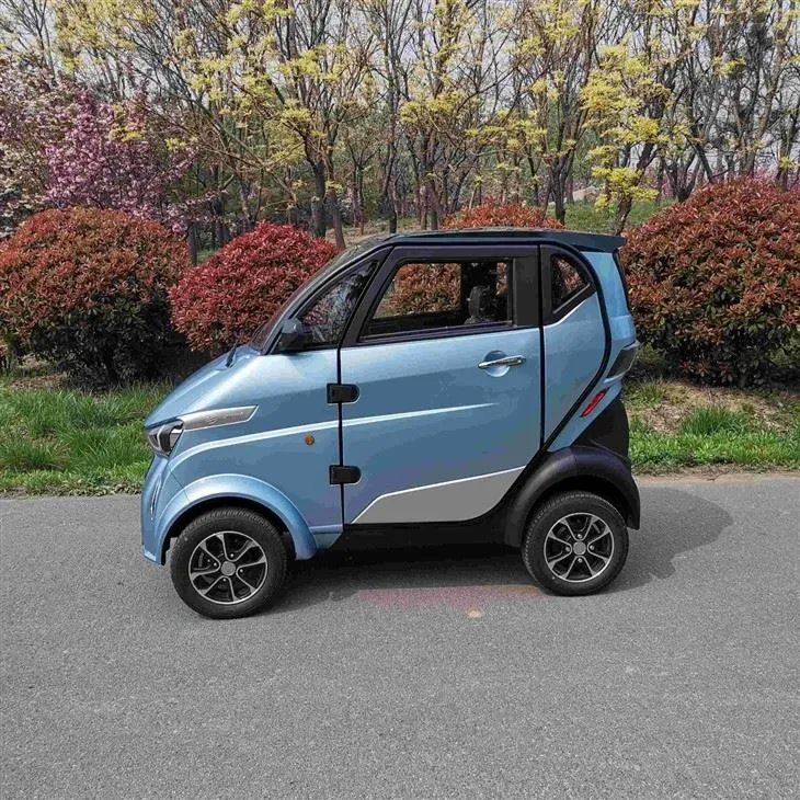 EEC COC DOT Low Speed Mini Electric Vehicle