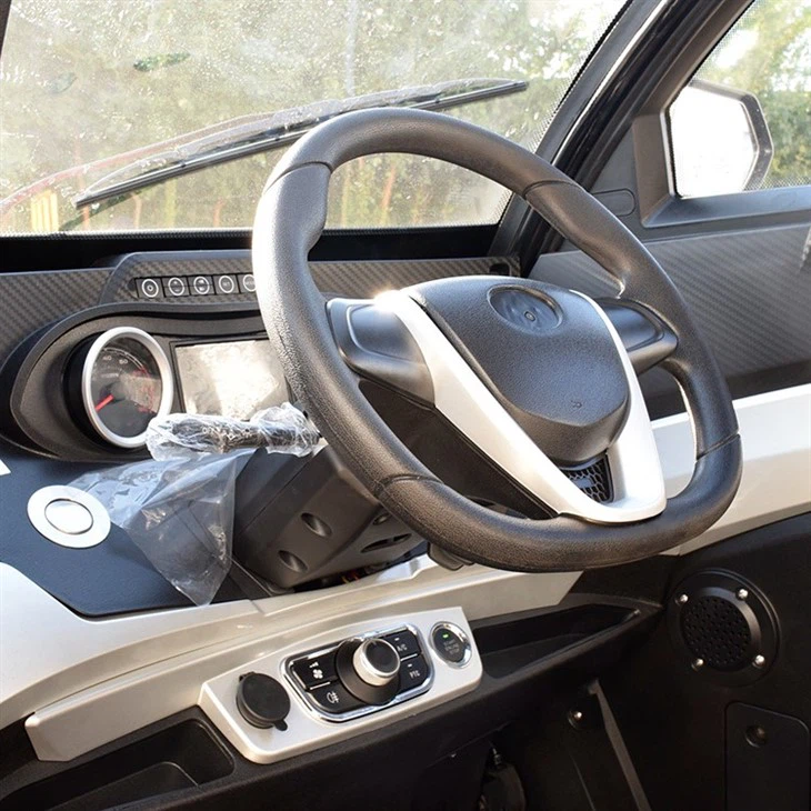 EEC New Cars Electric Family Used Mini Car For Adult