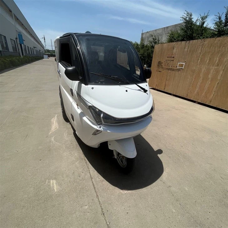 Mini Electric Van Refrigeration Cargo Tricycle For Sale Mini Electric Van Refrigeration Cargo Tricycle For Sale