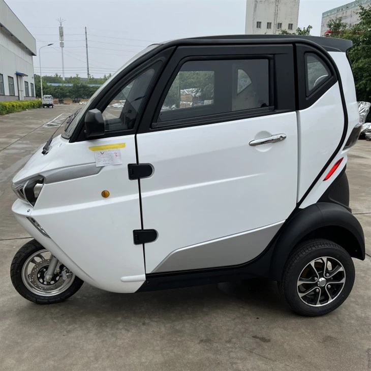 Electric Scooter Trike 3 Wheel Tricycle Motorcycle