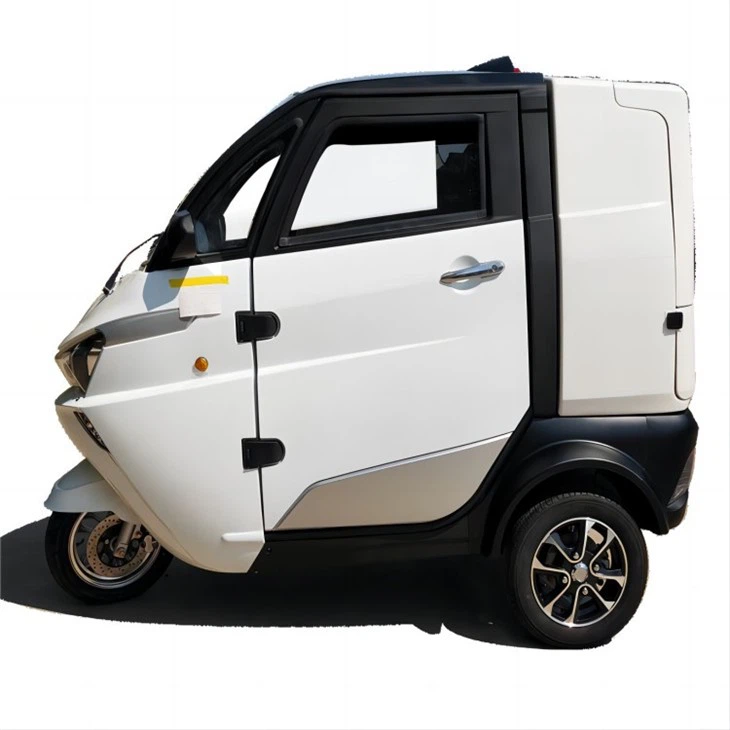 Electric Tricycle Smart Cargo Delivery Van COC