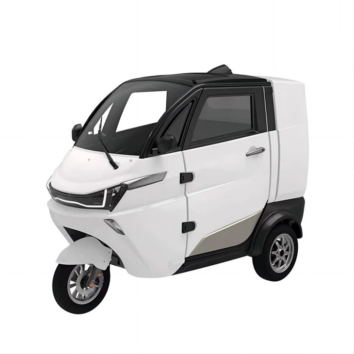 Electric Tricycle Smart Cargo Delivery Van COC