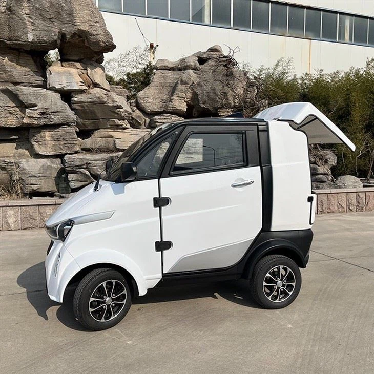 Low Price Electric Delivery Vehicle With Cargo Box, Mini Truck For Commercial Use Low Price Electric Delivery Vehicle With Cargo Box, Mini Truck For Commercial Use