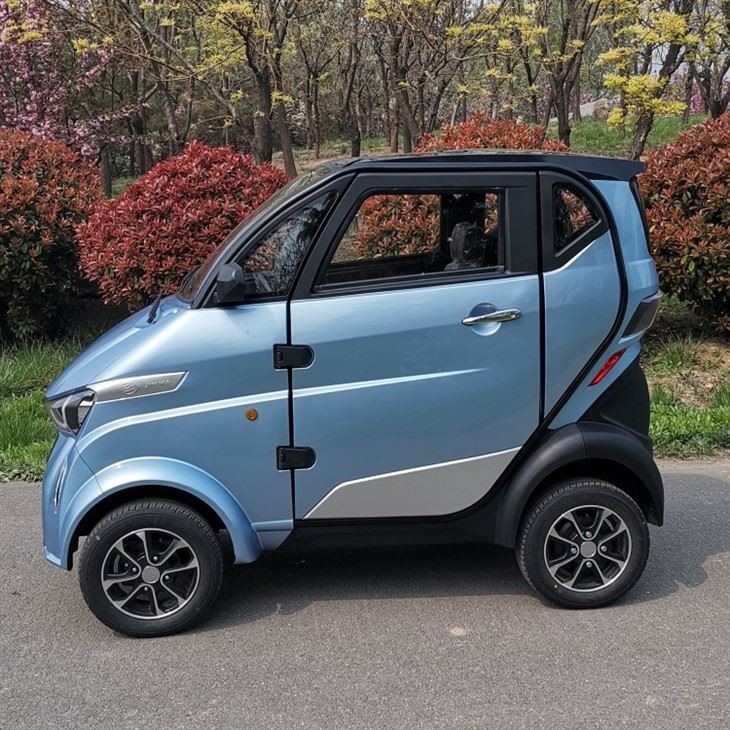 Mini Electric Car 3 Wheels 4 Wheels