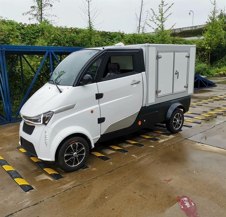 New Energy EEC Electric Mini Cargo Van Car
