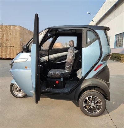 Automotive Mini Scooter Manned Electric Tricycle E Trike Three Wheel Electric Car