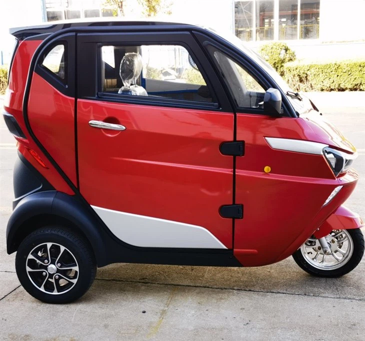 3 Wheel Tricycle EEC Travel Tools Three Wheel Electric Scooter