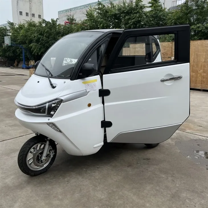 U.S. DOT Street Leagal 3-Wheel Type LSV Mini Electric Vehicle