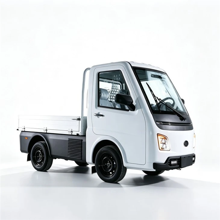 EEC Certificate 3000w Motor 3 Wheels Delivery Electric Cargo Tricycle For Adults high quality EEC Certificate 3000w Motor 3 Wheels Delivery Electric Cargo Tricycle For Adults high quality