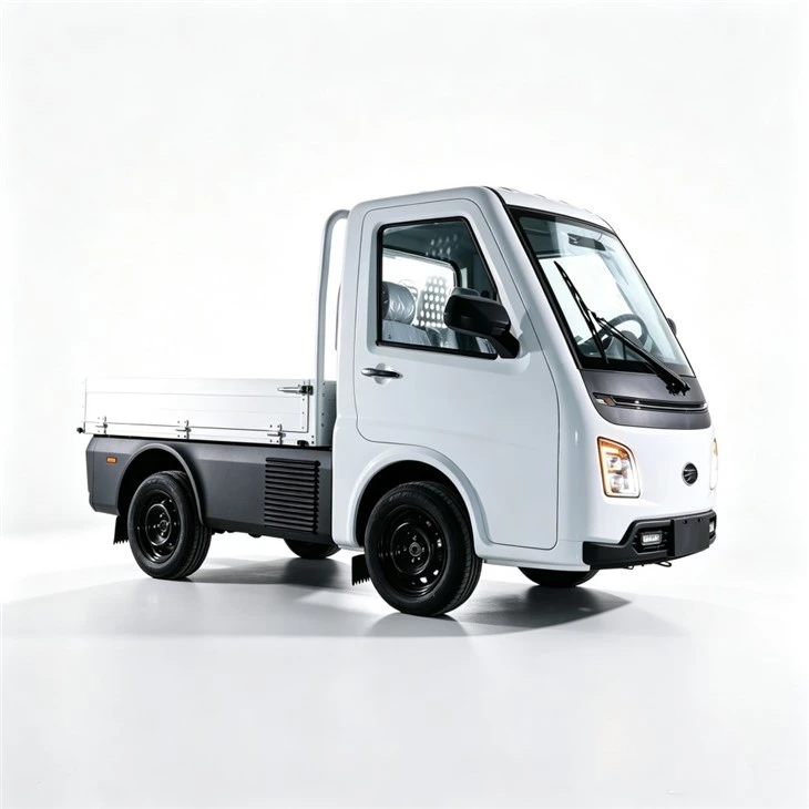 EEC Certificate 3000w Motor 3 Wheels Delivery Electric Cargo Tricycle For Adults factory EEC Certificate 3000w Motor 3 Wheels Delivery Electric Cargo Tricycle For Adults factory