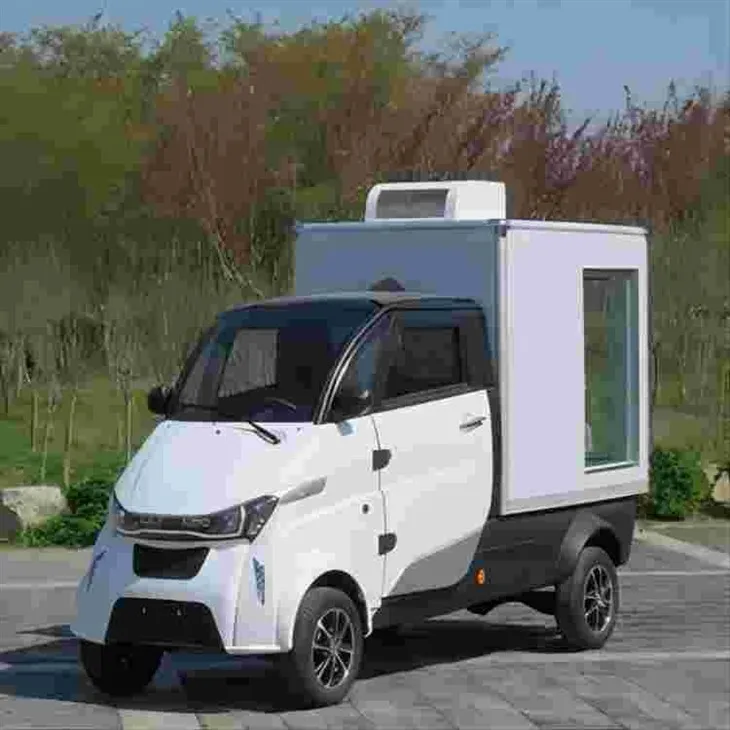 EEC Electric Cargo Car 4 Wheel / Tricyle J2-P Mini Truck