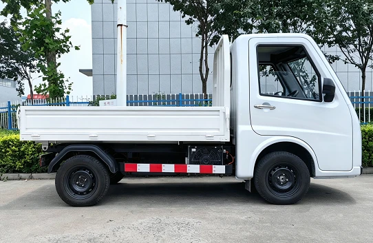 China Popula Electric Truck With Cargo Box New Express Delivery Mail Truck
