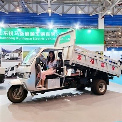 Heavy Duty Gasoline Tricycle 250cc Liquid Cooled Motor 2-3 Ton Payload High Capacity Dump Trike For Africa Logistics & Farming