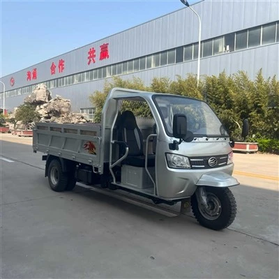 Factory Direct Supply 2-3 Ton Heavy Load Gasoline Cargo Tricycle Heavy Duty Three Wheel Freight Truck For Farm Construction Rural Logistics Africa Southeast Asia Market